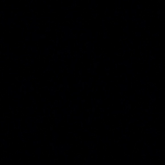 jaredfields55